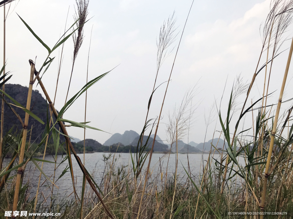 普者黑国家湿地风景区1