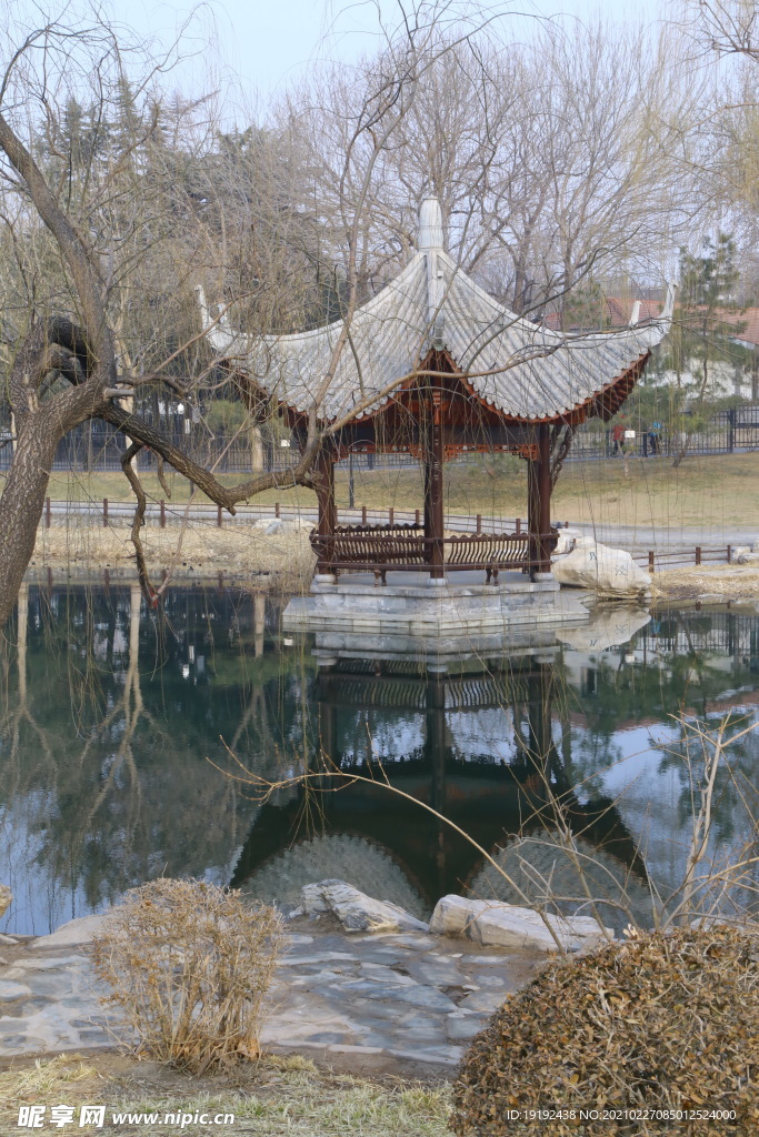 初春风景