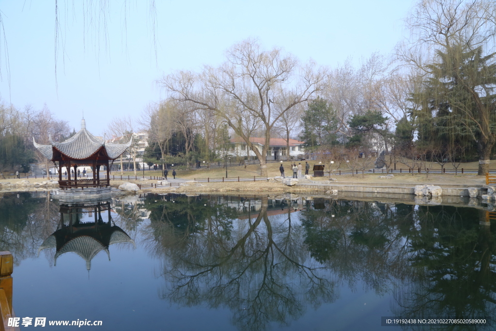 初春风景