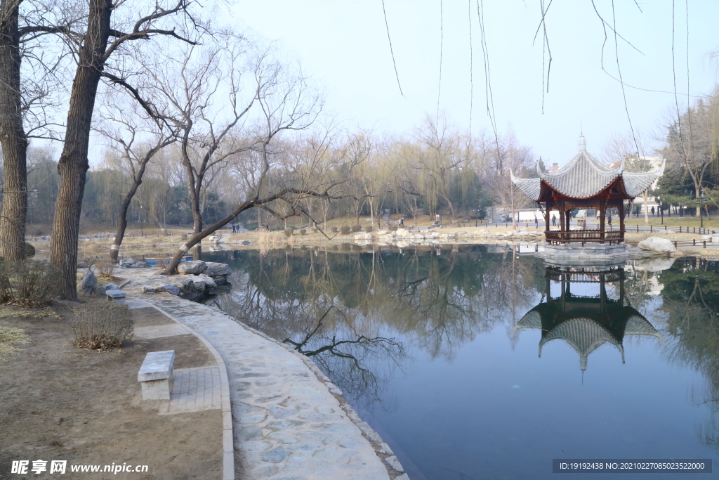 初春风景