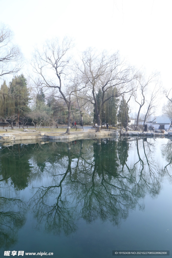 初春风景