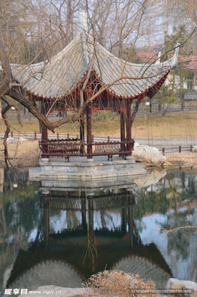初春风景