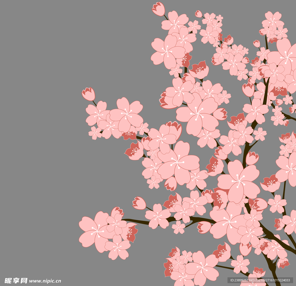 樱花