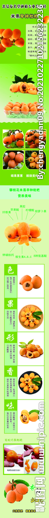 枇杷宣传页