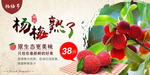 杨梅熟了