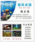 水族馆名片  名片 鱼缸  鱼