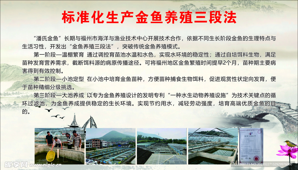 养殖三段法