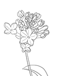 花