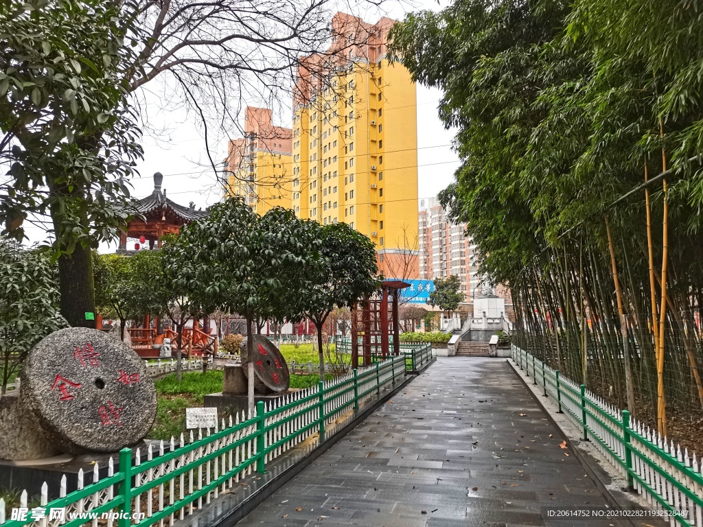 美丽的校园风景