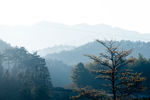 清晨日出山林雾景