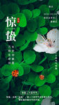 惊蛰海报