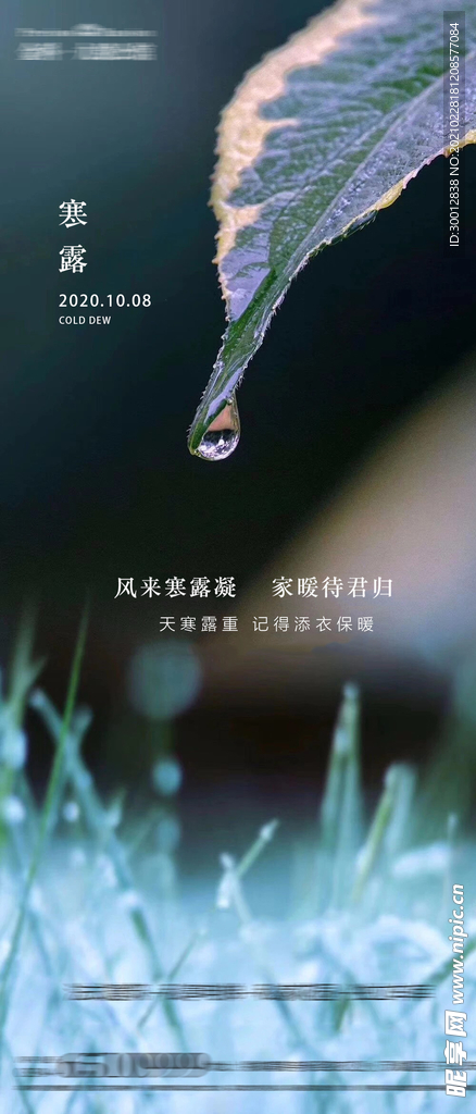 寒露