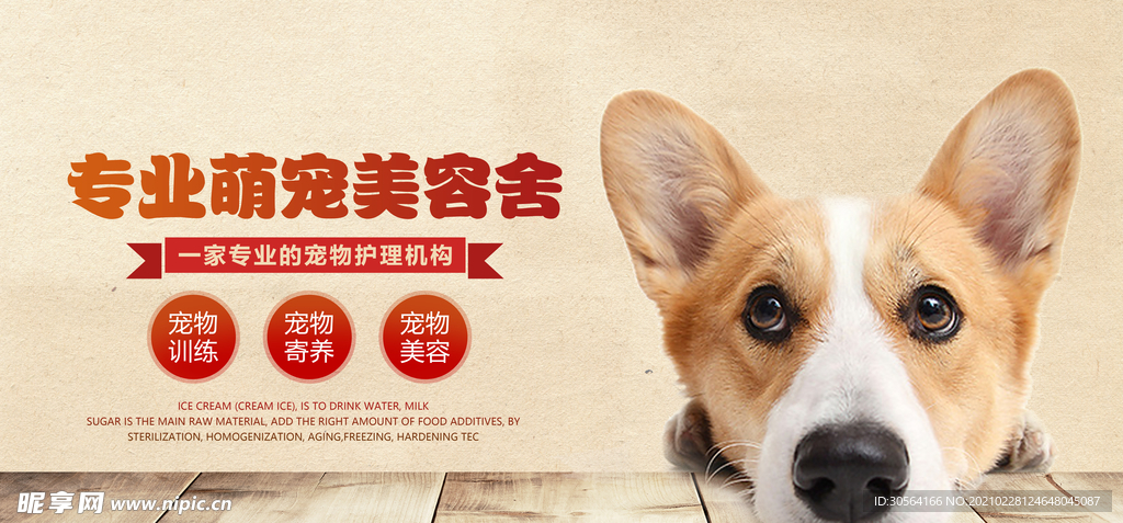 宠物美容促销活动宣传海报素材