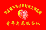 青年志愿服务