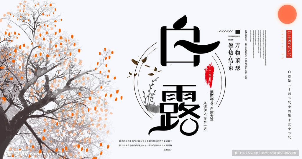 白露
