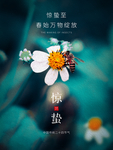 唯美花朵惊蛰节气海报
