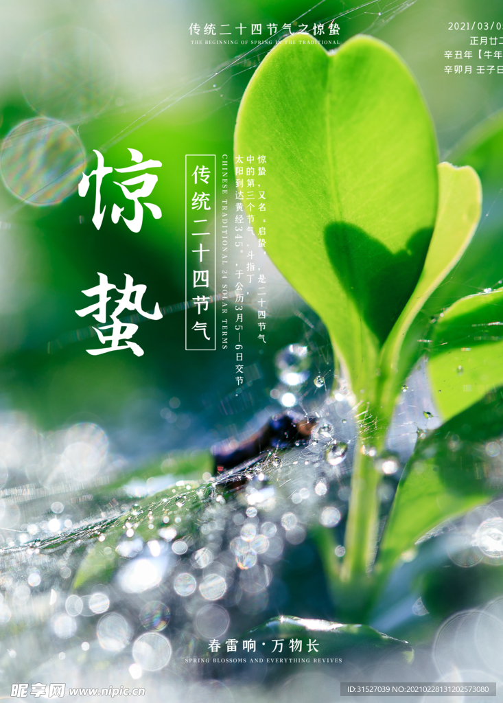 传统24节气惊蛰节气海报