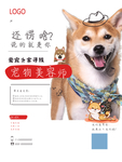 宠物