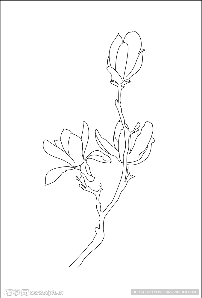 花 枝条  线条  线稿 白描