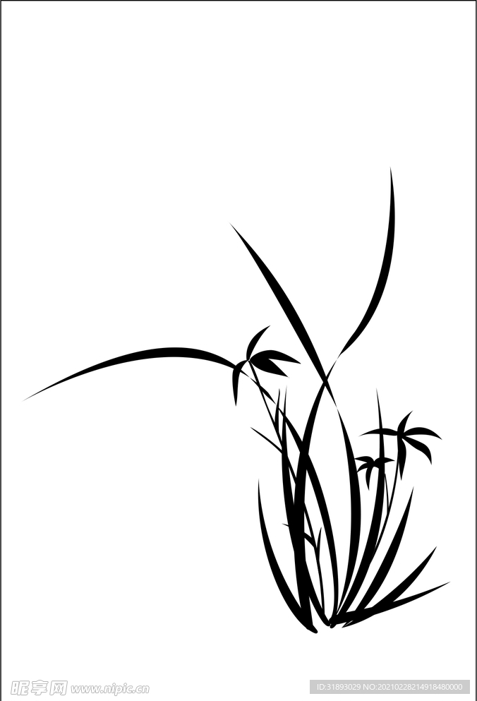 兰花 线稿 黑白 白描 雅