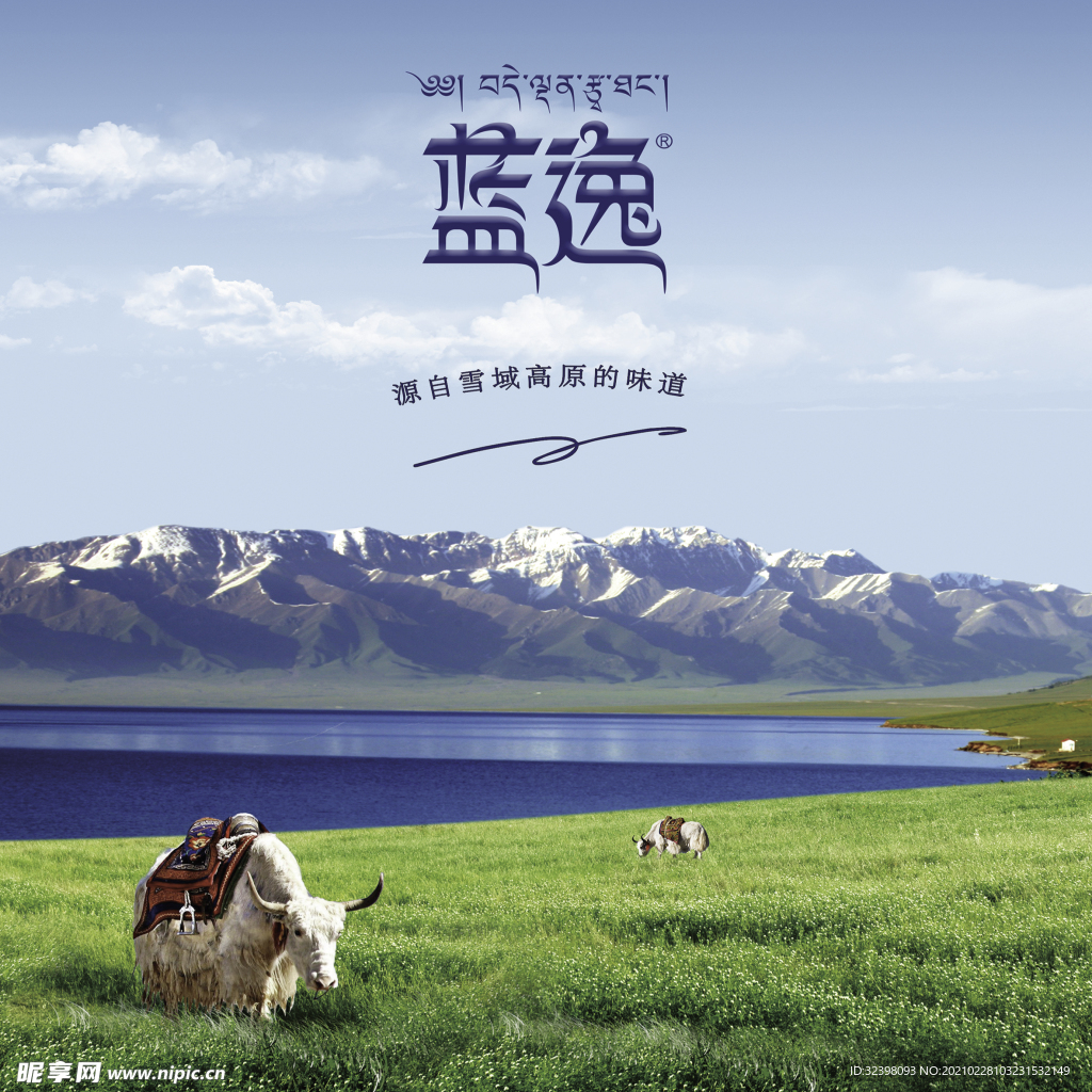 蓝逸背景
