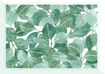 植物小清新挂画