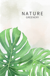 小清新植物玄关