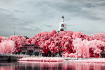 红外摄影之北京北海公园白塔牌楼