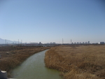 伍姓湖照片