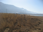 伍姓湖照片