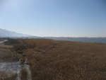 伍姓湖照片