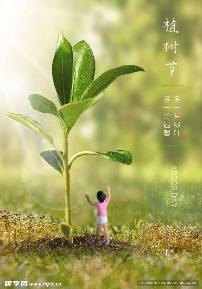植树节