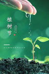 植树节