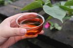普洱茶