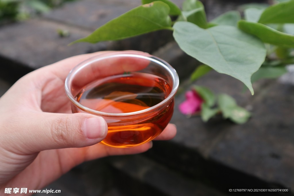 普洱茶