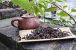 普洱茶