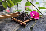 普洱茶