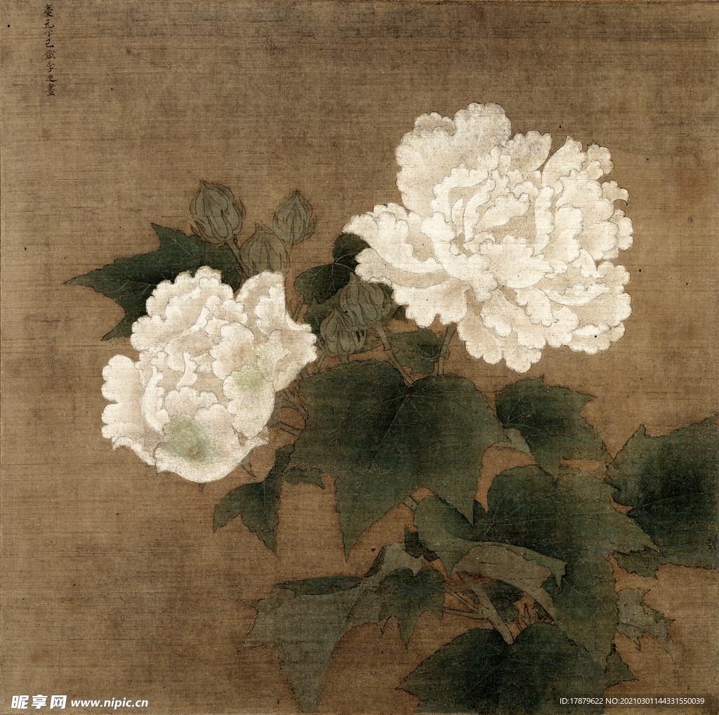 南宋国画 李迪 白芙蓉