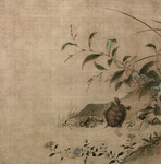 宋代国画 佚名 蓼龟图