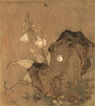 宋代国画 佚名 花石草虫图