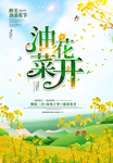 油菜花节