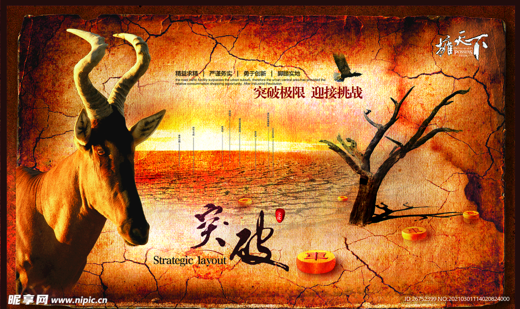 公司文化
