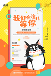 宠物美容师