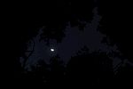 星