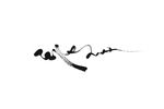 毛笔字
