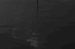 水