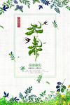 立春