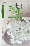 立春