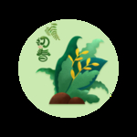 立春