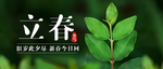 立春